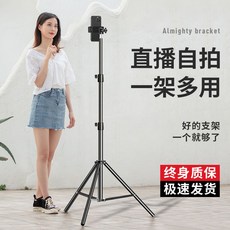 더현대2층스탠드조명