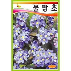 개망초생화