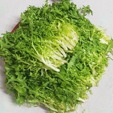 치커리2kg
