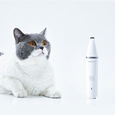 샤오미펫킷