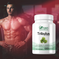 트리뷸러스 트리블러스 테레스트리스 성기능 남성 여성 성욕 증가 개선 Tribulus 2개월분, 1개, 120정