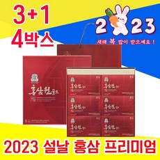 고급 홍삼 원 정관장 2023 명절 설날 설 선물 세트 셋트 5만원 6만원 대 수험생 집들이 예비 시댁 처가 친정 시 부모님 직장 상사 거래처 어르신 감사 효도 첫월급, 3+1 4박스 - 다니마켓