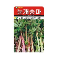 솔림텃밭몰 눈개승마씨앗 500립 눈개승마 삼나물 노화방지 효과, 눈개승마