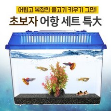 러블리 초보자 베타 구피 금붕어 미니어항 열대어 키우기 세트(특대) 수족관