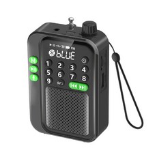 MP3 플레이어 라디오 스피커 FM 호환 미니 블루투스 D2RC 무선 휴대용, Black