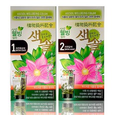 프라나 색솔 웰빙 칼라 천연 염모제, 1개, 프라나 색솔 웰빙 칼라 천연 염모제 2호, 상세페이지참조0