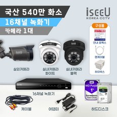 iseeU 국산 540만화소 올인원 CCTV 세트 16채널 녹화기 감시카메라 가정용 실내 실외 패키지 자가설치, 01. 카메라1대+어댑터+CCTV케이블1개, 02. CCTV전용 하드디스크 1TB, 1개 - 16채널cctv녹화기