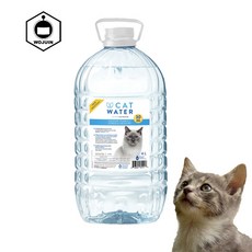 벳워터 고양이 워터 4L, 1개, 캣워터 4L