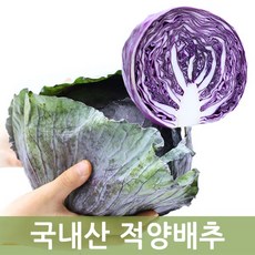 친환경적채