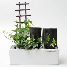 화산석가습기