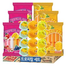 트로피칼바