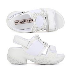 로저비비에비브런