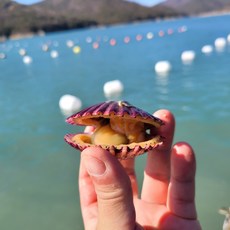 아빠가사온해물