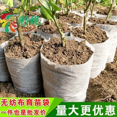 도로 원 예 는 부직포 화분 직판 가 후 한 육 묘포 영양 컵 감귤 열매 모종 용기 용기 용기 용기 용기 용기 용기 용기 수선 수선 수선 71 (직경 3.8 높이 9) 500 개