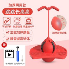 어른스카이콩콩