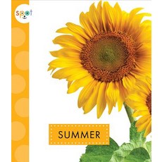Summer Paperback, Amicus Ink, English, 9781681523897