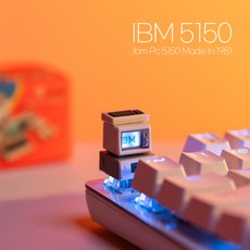 곰돌이사냥꾼 IBM 맥킨토시 커스텀 애플 포인트 레트로 기계식 키보드 키캡, IBM 5150