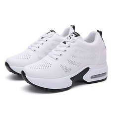 아이피스82도솔로몬