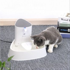 nathome전기포트ndg01최신형