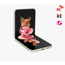 갤럭시z플립3