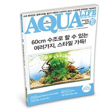 아쿠아라이프 2019년 10월호 [60cm 어항으로 할 수 있는 여러가지 스타일 가득!], 단품