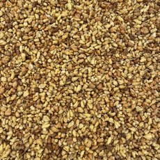 볶은 메밀 500g 메밀차 Buckwheat 천년건강 한방차, 1개, 1개입