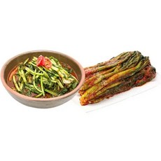 도미솔 맛있는 열무김치 3kg+갓김치 2kg(총 5kg)[34151322], 단일옵션