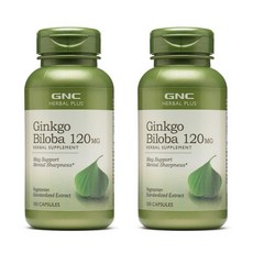 GNC 징코 빌로바 120mg 캡슐