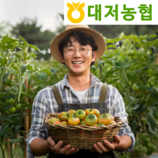 짭짤이토마토 TOP01