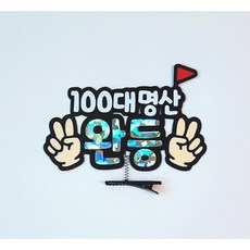 명산완등기념 등산 트레킹 머리핀 뱃지 브로치 주문제작 i, 뱃지타입