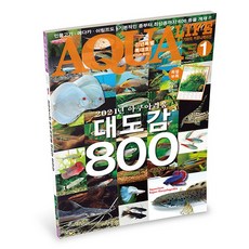 아쿠아라이프 2021년 1월호 [2021년 아쿠아리움 대도감 800], 단품, 단품