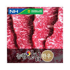 농협안심한우 채끝살, 1개, 500g 구이용(2등급)