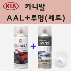 이그나이트플레인카니발
