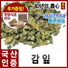 자애인 국산 감잎 600g 시엽 감나무잎 경북영천, 단품, 1개