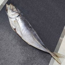 de3f075f5e1e7d4774ced0b9c33d8a1466e20cc1f139b5393219fbfea17a.jpg