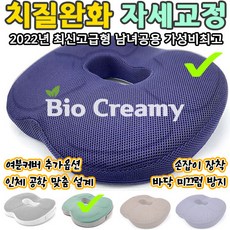 전립선방석