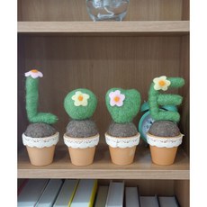 양모펠트선인장