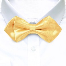 노란색나비넥타이