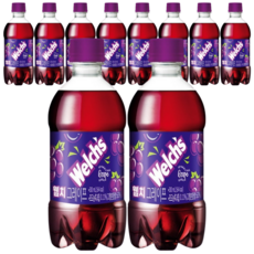 웰치스 포도 300ml, 10개