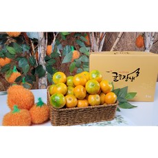 제주농협귤로장생