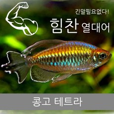 bade88c88d89014939fb807ea8774a3ea959ec44e04d2e7865248f5d4971.jpg