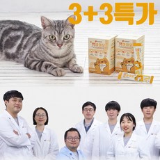 고양이 전문 유산균 영양제 설사 변비 구토 면역력 장건강 프로바이오틱스 프리바이오틱스 파우더 캣바이오 3+3