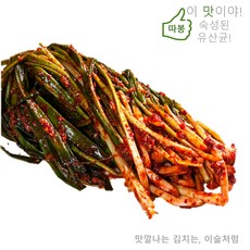 이슬처럼 맛있다! 수입산 파김치 5kg 중국산 파김치 5kg (옵션A:파김치), 종이박스, 1개