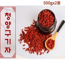 봉구기자