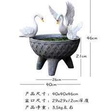 백조 수경 대형 화분 블루베리 테이블 아보카도 나무, 1_큰
