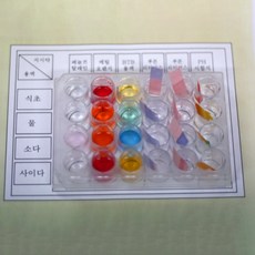 여러가지 지시약 1인용(산 염기성실험)(사캠)