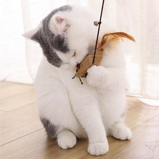 고양이날으는새장난감