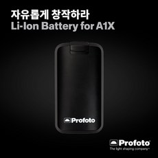 프로포토a1