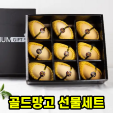 영광망고야
