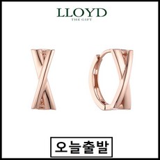 로이드실버귀걸이